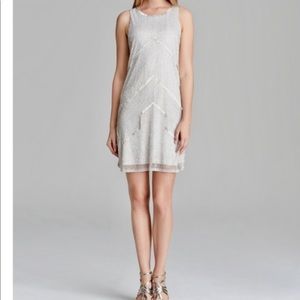 Adrianna Papell Sleeveless Silver Sequined Dress
